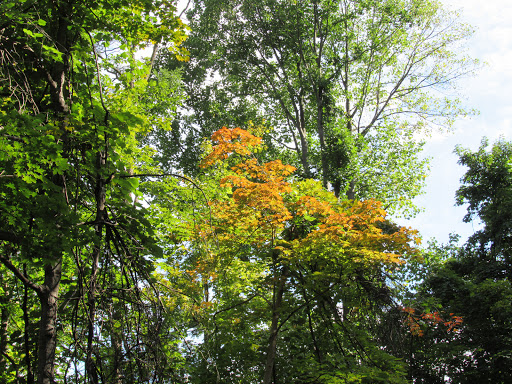 Nature Preserve «Princess Ledges Nature Preserve», reviews and photos, 4361 Spruce Ave, Brunswick, OH 44212, USA