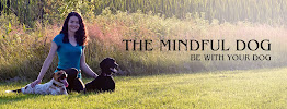 The Mindful Dog - Photo 2 - Car repair in , Lynn