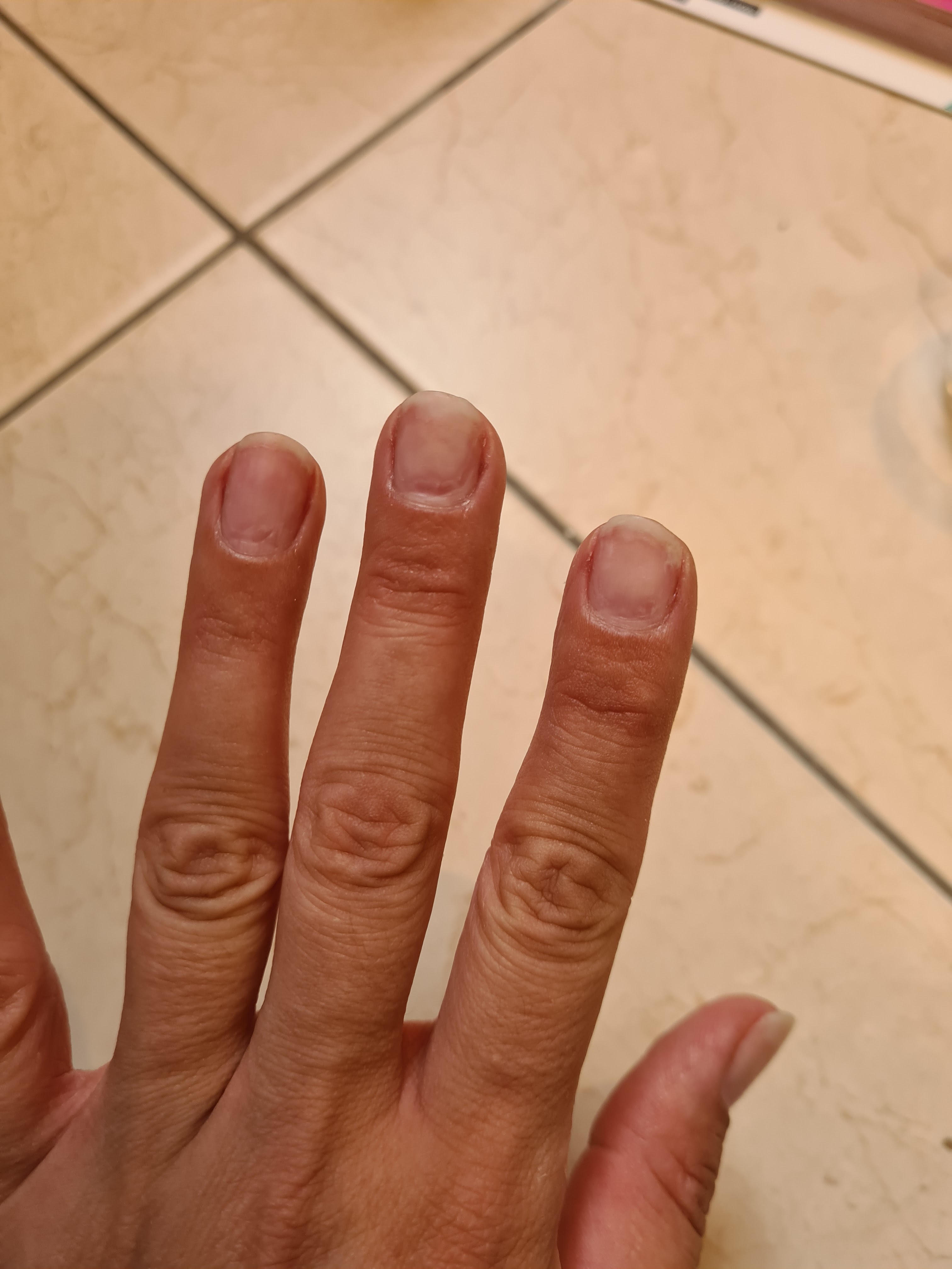 Photo n° 2 de l'avis de A. fait le 19/08/2022 à 20:34