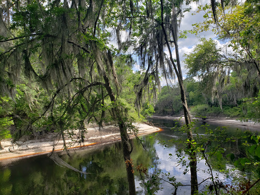Festival «Spirit of the Suwannee Music Park», reviews and photos, 3076 95th Dr, Live Oak, FL 32060, USA