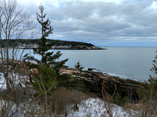 Community Center «The Mount Desert Island YMCA», reviews and photos, 21 Park St, Bar Harbor, ME 04609, USA