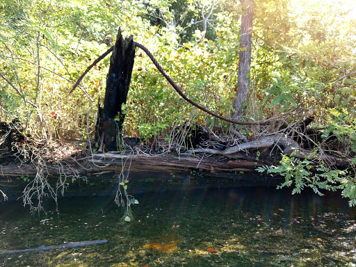 Tourist Attraction «Mallows Bay», reviews and photos, 1440 Wilson Landing Rd, Nanjemoy, MD 20662, USA