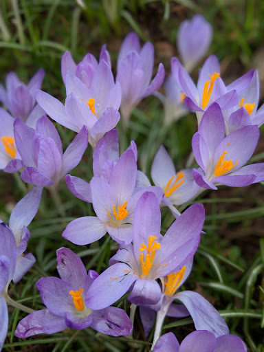 Park «Alberta Park», reviews and photos, 1905 NE Killingsworth St, Portland, OR 97211, USA