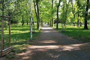 Skowroni Park image