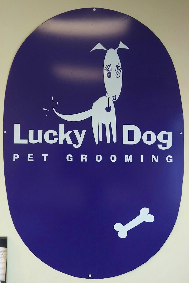 Lucky Dog Pet Grooming