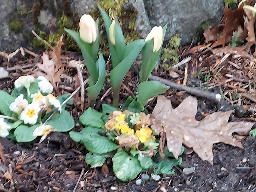 Community Center «SeaTac Community Center», reviews and photos, 13735 24th Ave S, SeaTac, WA 98168, USA