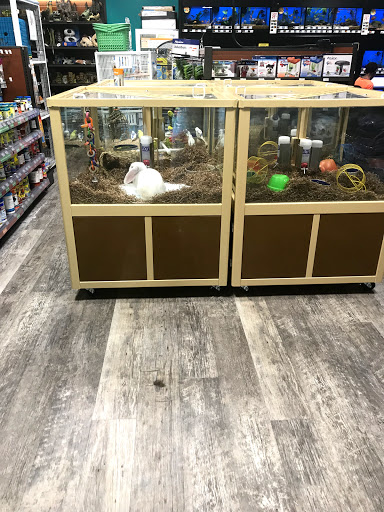 Pet Supply Store «Pet Supermarket, Inc.», reviews and photos, 1052 Peachtree Industrial Blvd, Suwanee, GA 30024, USA