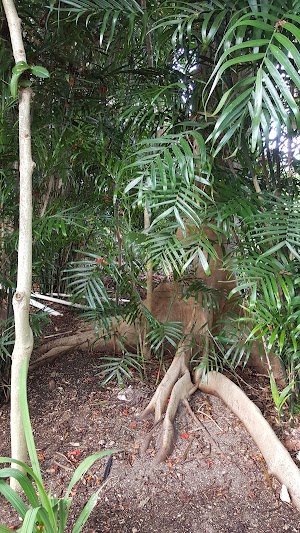 Indigenous Park - photo 47