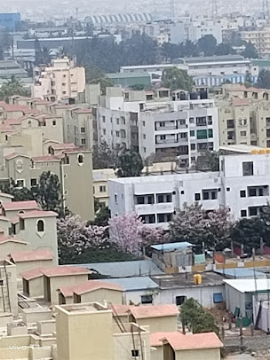 Google Maps image 16