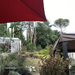 Photo n°2 de l'avis de Alessandra.e fait le 14/07/2021 à 23:14 sur le  Le Lune ristorante nel vivaio à Florence