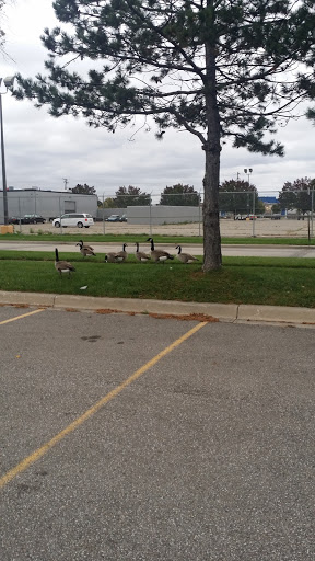 Movie Theater «AMC John R 15», reviews and photos, 32289 John R Rd, Madison Heights, MI 48071, USA