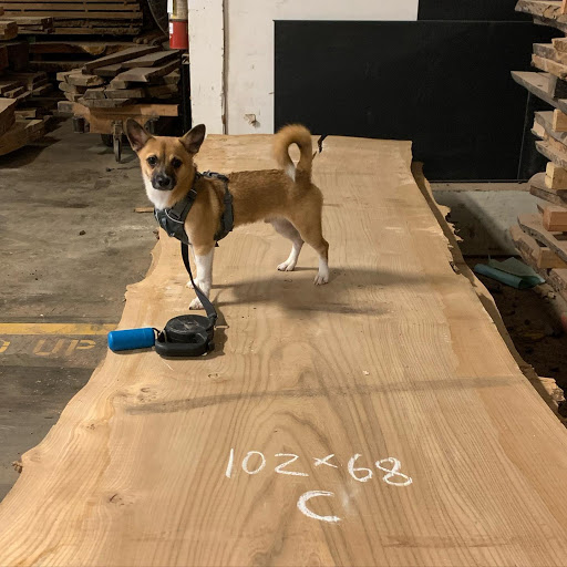 Furniture Store «Urban Hardwoods», reviews and photos, 2101 1st Ave, Seattle, WA 98121, USA