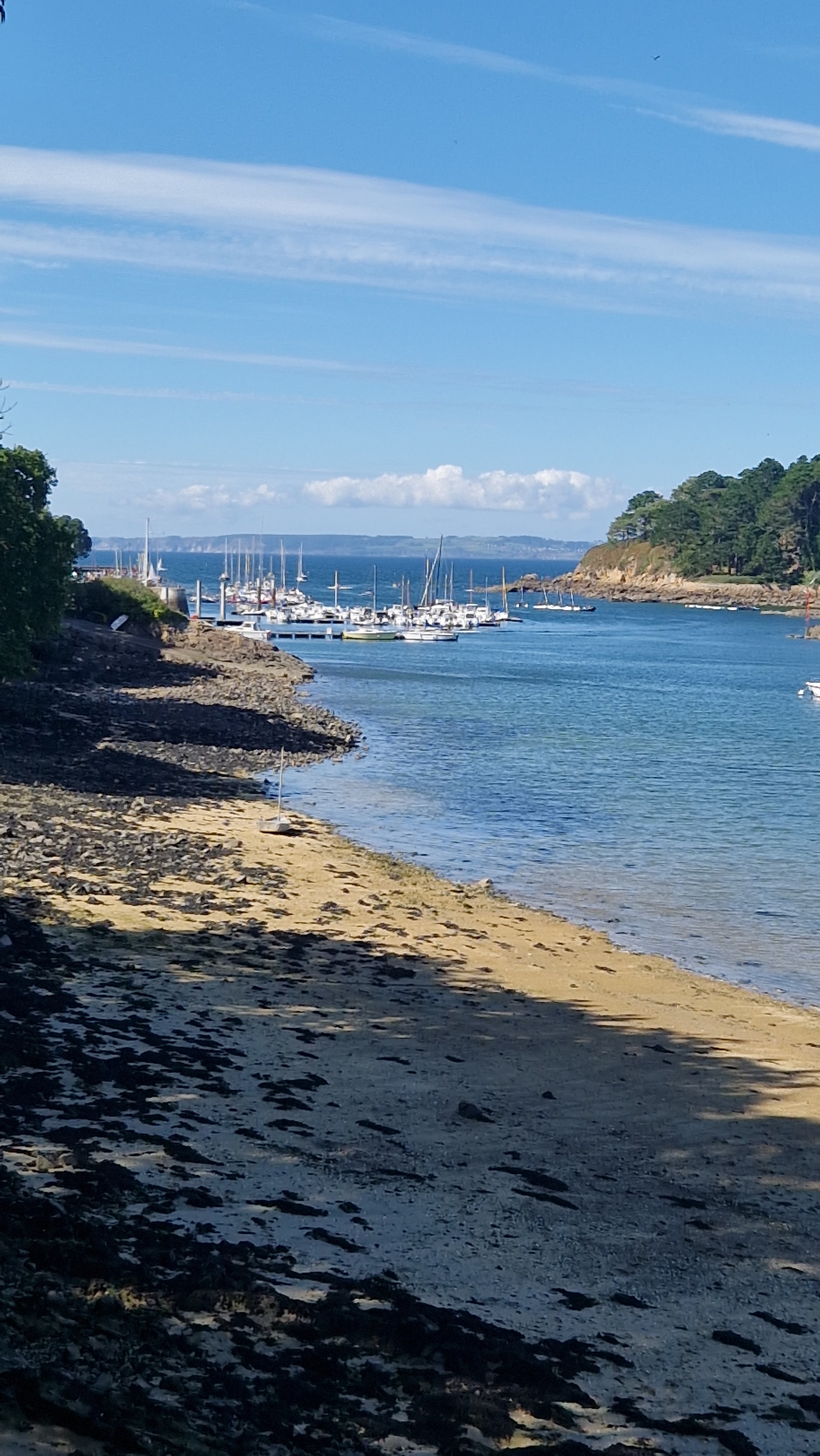 Photo n° 9 de l'avis de Guillaume.h fait le 21/08/2023 à 14:57