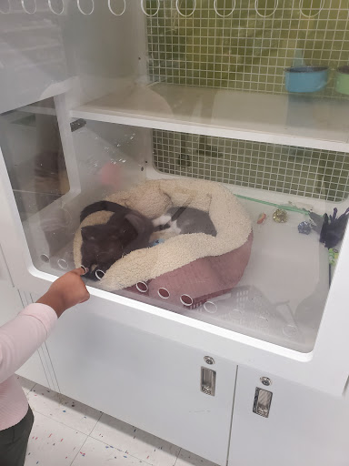 Pet Supply Store «Petco Animal Supplies», reviews and photos, 5481 Lone Tree Way, Brentwood, CA 94513, USA