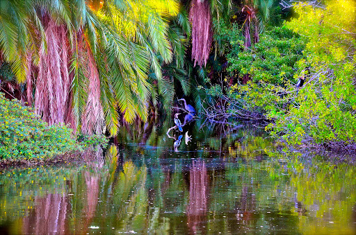 Private Golf Course «Pasadena Yacht & Country Club», reviews and photos, 6300 Pasadena Point Blvd S, Gulfport, FL 33707, USA