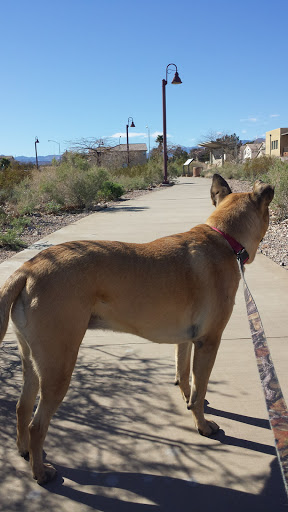 Park «Old Spanish Trail Park», reviews and photos, 8150 Tara Ave, Las Vegas, NV 89117, USA