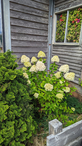 Quilt Shop «center diamond», reviews and photos, 1065 S Hemlock St, Cannon Beach, OR 97110, USA