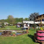 Photo n°1 de l'avis de Luciano.a fait le 22/04/2018 à 17:37 sur le  Ristorante La Barcaccia - Lago di Candia à Mazzè