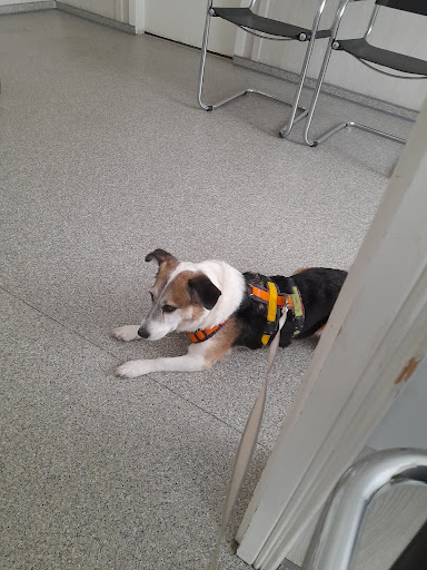 Dipl.med.vet.Roland Wießner unter Görlitz, 