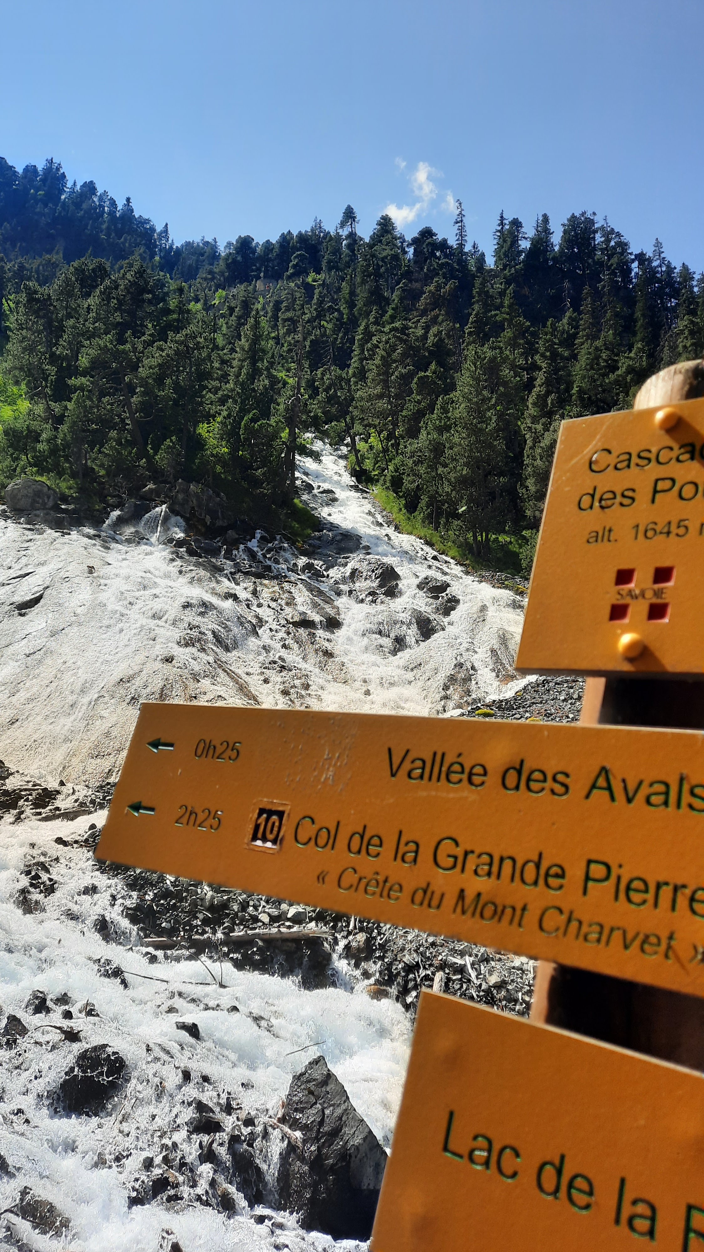 Photo n° 6 de l'avis de Zaza.r fait le 23/07/2023 à 19:07