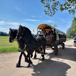 Photo n°9 de l'avis de Lothar.a fait le 13/08/2023 à 10:53 sur le  VIA PLAZA Hotel Meppen à Meppen