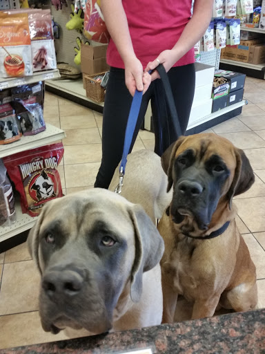 Pet Supply Store «Pet Food Gone Wild», reviews and photos, 2415 Southern Blvd SE, Rio Rancho, NM 87124, USA