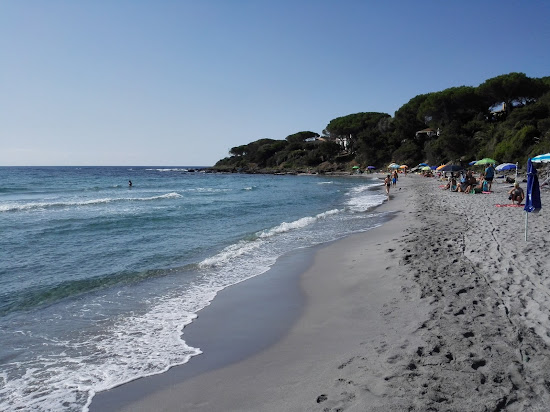 Bagnino eroe