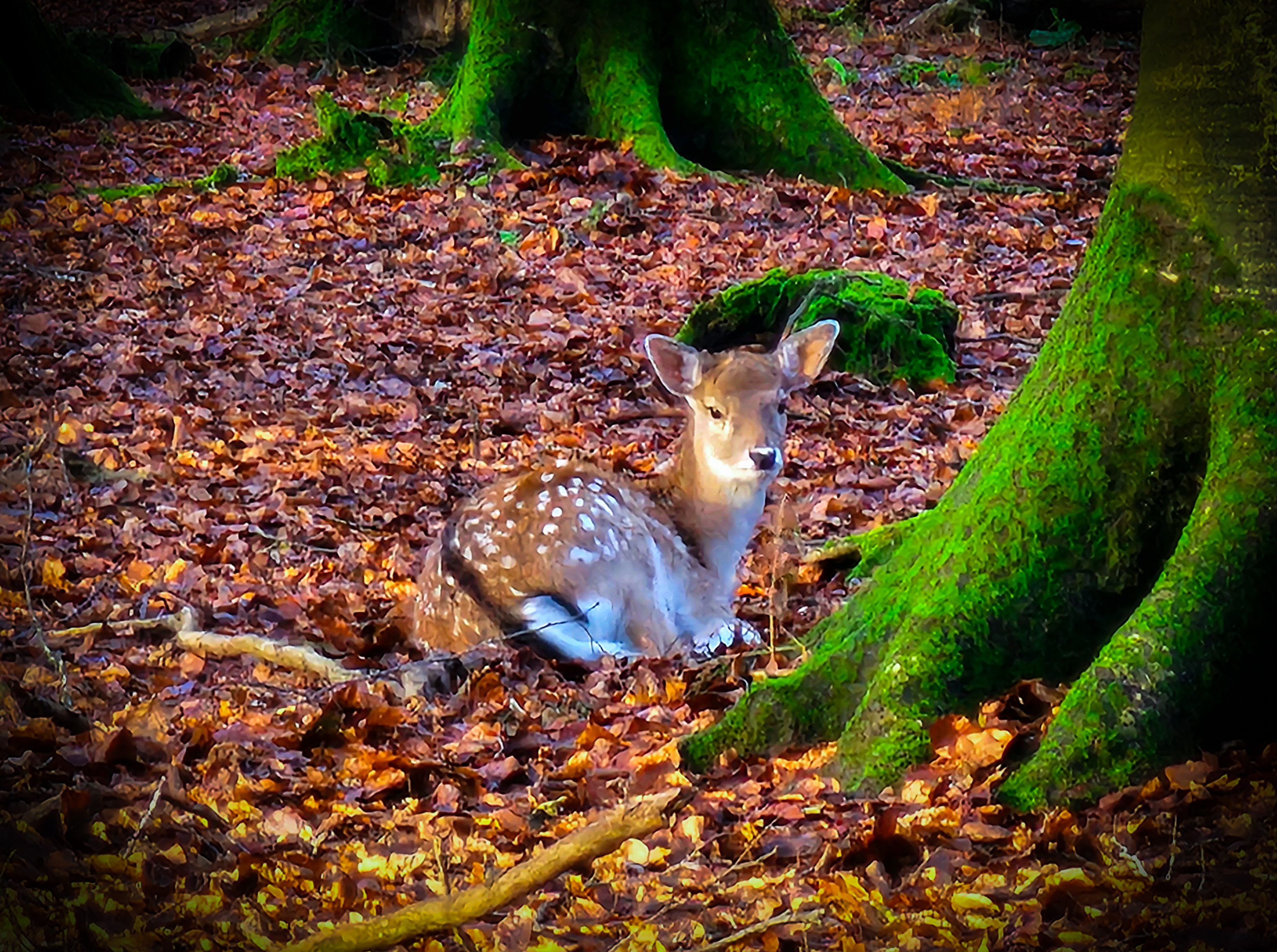 Photo n° 1 de l'avis de Nono.h fait le 09/12/2023 à 09:20