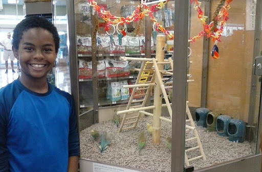 Pet Supply Store «Petco Animal Supplies», reviews and photos, 4908 Kingston Pike, Knoxville, TN 37919, USA