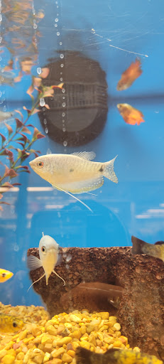 Pet Supply Store «Petco Animal Supplies», reviews and photos, 85 State St, Orem, UT 84058, USA