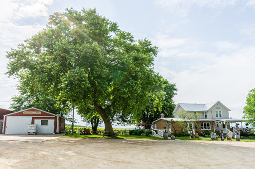 Winery «Galena Cellars Vineyard», reviews and photos, 4746 N Ford Rd, Galena, IL 61036, USA