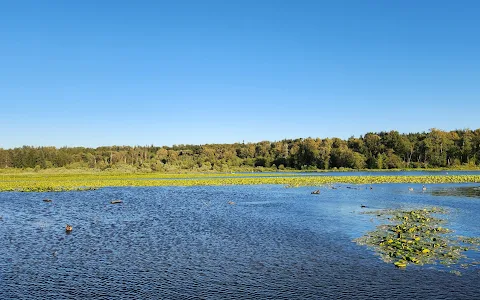 Burnaby Lake Regional Park image