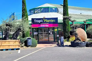 Tropic Plantes image