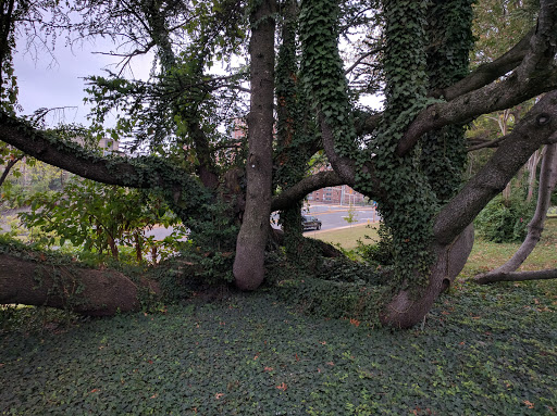Museum «The George Washington Masonic National Memorial», reviews and photos, 101 Callahan Dr, Alexandria, VA 22301, USA