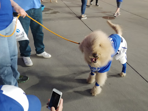 Stadium «Kauffman Stadium», reviews and photos, 1 Royal Way, Kansas City, MO 64129, USA