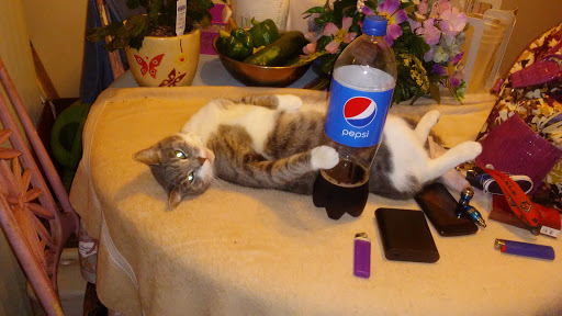 Discount Store «Big Lots», reviews and photos, 311 Deo Dr, Newark, OH 43055, USA