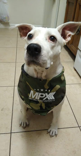 Pet Store «Pet Planet Ridgeview», reviews and photos, 2910 N Power Rd #103, Mesa, AZ 85215, USA