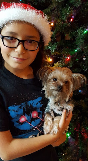 Gift Shop «Ugly Baby and La Ru», reviews and photos, 1430 Western Ave, Seattle, WA 98101, USA