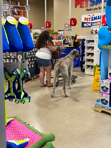 Pet Supply Store «PetSmart», reviews and photos, 849 E 23rd St, Panama City, FL 32405, USA