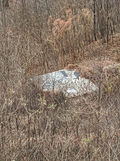 Landmark «The Pagoda», reviews and photos, 98 Duryea Dr, Reading, PA 19602, USA