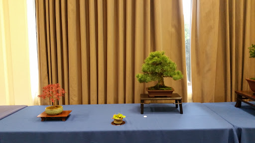 Hotel «Hotel RL Olympia by Red Lion», reviews and photos, 2300 Evergreen Park Dr SW, Olympia, WA 98502, USA