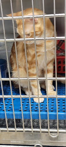 Pet Supply Store «Petsense Corinth», reviews and photos, 1663 Virginia Ln, Corinth, MS 38834, USA