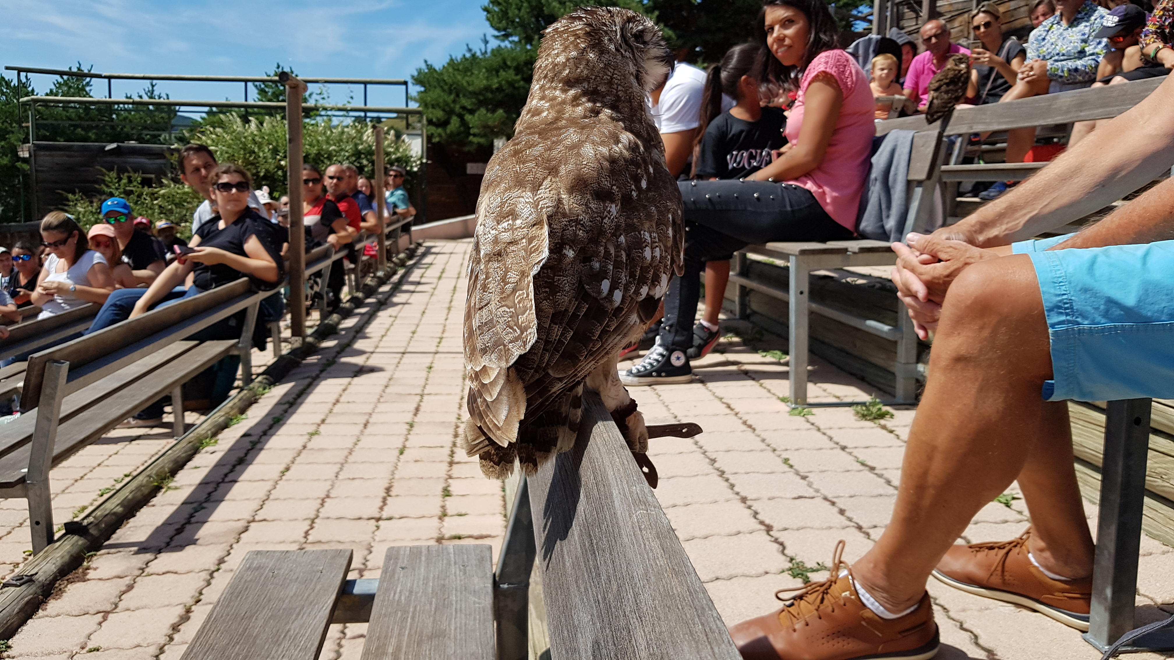 Photo n° 13 de l'avis de TonTon.e fait le 26/08/2018 à 21:52