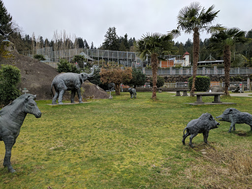 Zoo «Cougar Mountain Zoo», reviews and photos, 19525 SE 54th St, Issaquah, WA 98027, USA