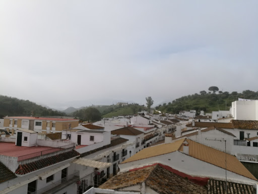 Información y opiniones sobre Bar Paseo de la Cueva de Algar