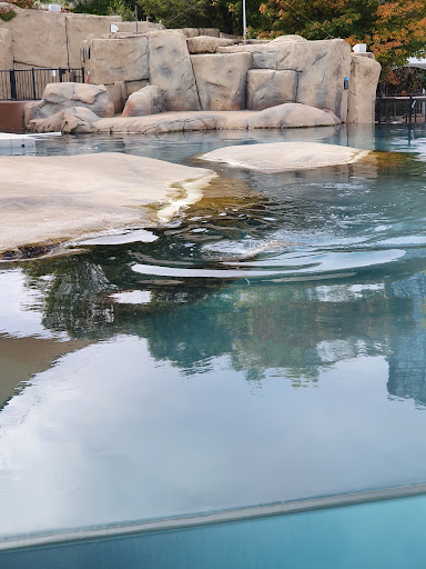 Zoo «Kovler Sea Lion Pool», reviews and photos, 2001 N Clark St, Chicago, IL 60614, USA