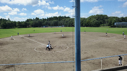 阿見町総合運動公園野球場メイン面