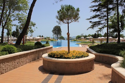 Photos of Ava Park