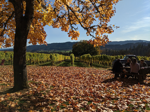 Vineyard «Tualatin Estate Vineyard», reviews and photos, 10850 NW Seavey Rd, Forest Grove, OR 97116, USA