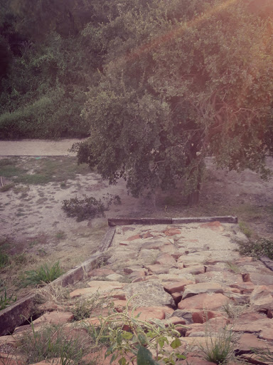 Nature Preserve «McAllen Nature Center», reviews and photos, 4101 U.S. 83 Business, McAllen, TX 78501, USA